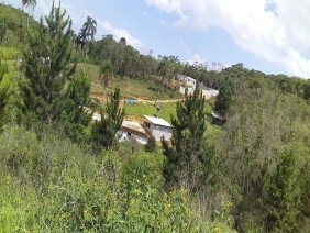 Pintec Pinturas Tecnicas Serviços Correlatos a Construção Civil - Photo 6