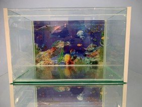 Thom Vidros - Photo 2