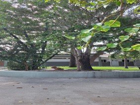 UNEAL - Universidade Estadual de Alagoas - Photo 2