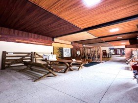 Falcão Madeiras - Photo 3