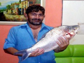 Materiais de Construção/Org. Diego Orlando - Photo 1