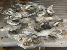 Ferragens em Camaçari - Distribuidora Brasil Acessórios e Vidros - Photo 2