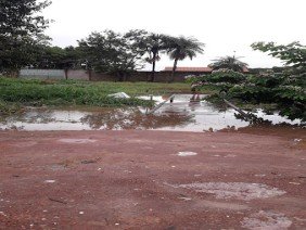 Tomé B. de Souza - Photo 2