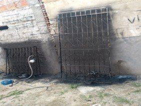 Serralheiro cabula - Photo -1