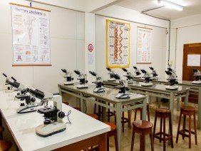 Grupo Madre Tereza - Photo 5