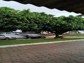 IFAL - Instituto Federal de Alagoas - Campus Palmeira dos Índios - Photo 2