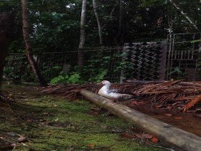 RESIDENCIAL VIVER MELHOR - Photo 1