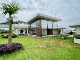 Oseias pinturas - Photo 3