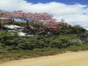 Civil Pré-Fabricados - Photo 3