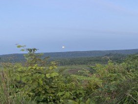 SERRALHERIA FREITAS - Photo -1