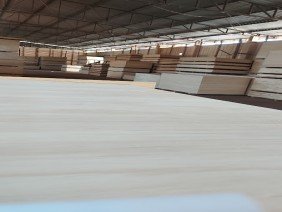 Lano da Amazônia Ltda - Photo 2