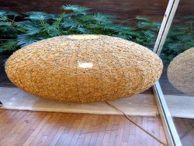 Studio Arthur Casas - Photo 2