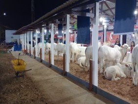 Expoacre Rio Branco - Photo 1