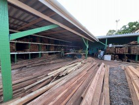 Madeireira Amazonas - Photo -1