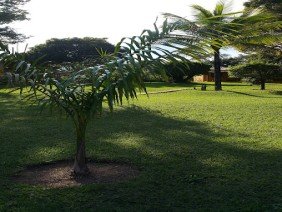 Pedro Baan Designer de interiores - Photo 4