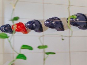 SALLES & SOBREIRA - ARQUITETURA - Photo 1