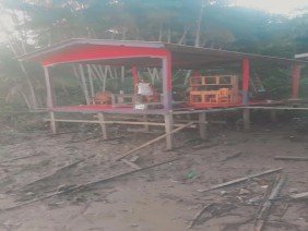 Fênix marcenaria - Photo 0