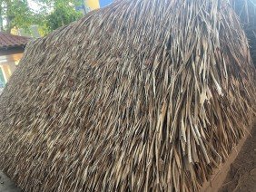 Museu da Borracha - Photo -1