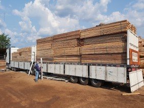 Madeireira Transacreana - Photo 0