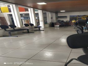 Madeiras do Brasil do Agreste - Photo 2