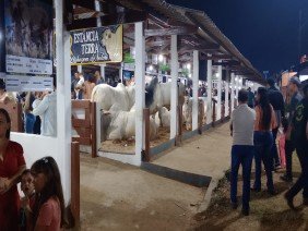 Expoacre Rio Branco - Photo 6