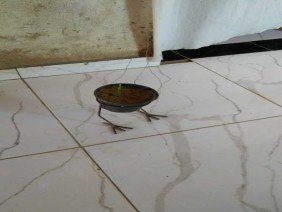 Serralheria JL Santa Maria da Vitória Bahia - Photo -1