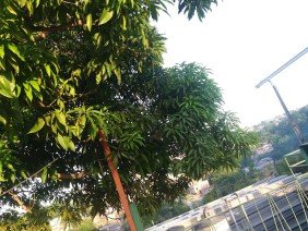 Amazon Pré-Fabricados - Photo 5