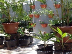 Floricultura Espaço Natural e ML Jardinagem - Photo 5