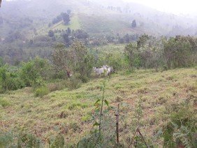 Civil Industrial e Comercial - Photo 1