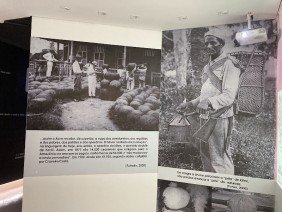 Museu da Borracha - Photo 4