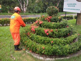 Parente Andrade - Photo 3