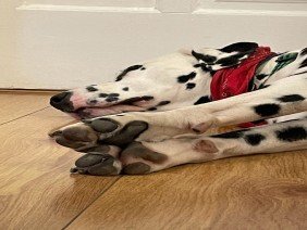 BCMF Arquitetura e Engenharia - Photo 1