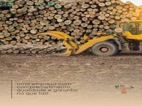 BAOBÁ MADEIRAS - ACRE - Photo 1