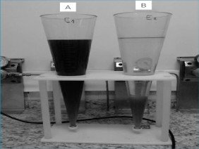 Guyane Habitat - Brasil Ambiental - Photo 1