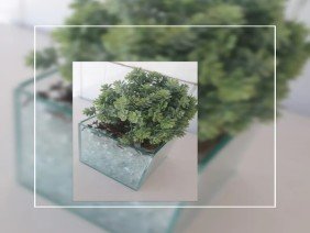 Douglas vidros - Photo 1