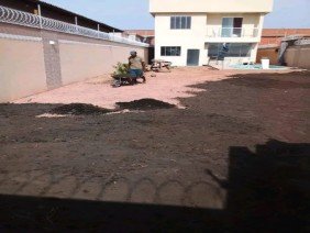 Floricultura Espaço Natural e ML Jardinagem - Photo 4