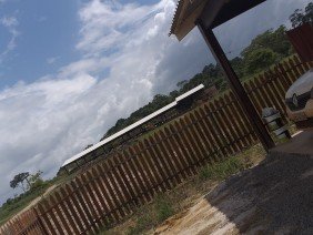 Madereira Vale do Amapari - Photo 3