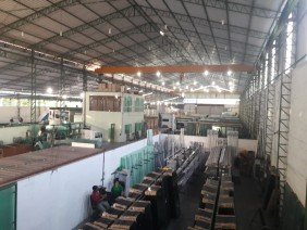 Amazon Temper - Photo 5