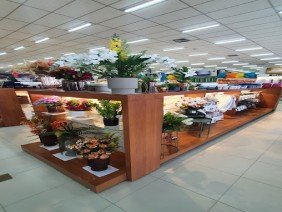 Casa das Correias - Japiim - Photo -1