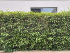 BCMF Arquitetura e Engenharia - Photo -1