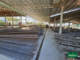 Amazon Postes - Photo 1