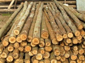 Casa Brasil Materias de Construção - Photo 0