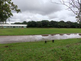 Universidade Federal do Amazonas - Photo 2